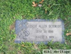 Leslie Allen Schmidt