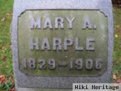 Mary Ann Hodgen Harple