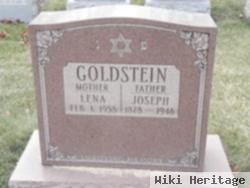 Joseph Goldstein