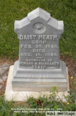 Daisy Heath