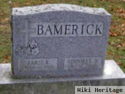 James K. Bamerick