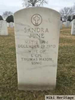 Sandra J Haigh