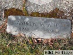 Andrew M Weier