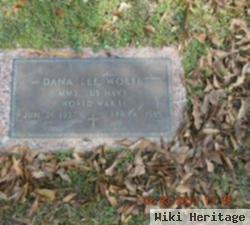 Dana Lee Wolfe