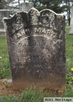 Ann Mary Lehman