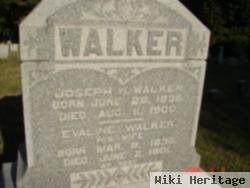 Joseph H Walker