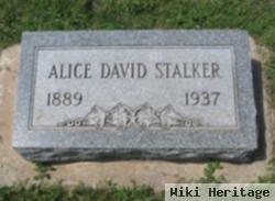 Alice David Stalker