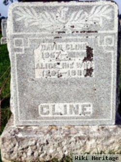 Alice Hedrick Cline