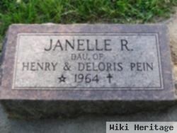 Janelle Renee Pein