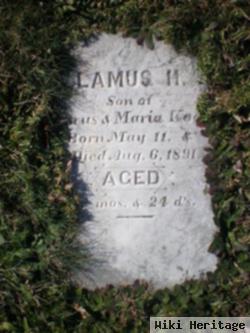 Lamus Harrison Koch