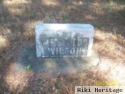 Mrs D. W. Wilson