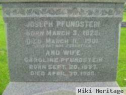 Joseph Pfundstein