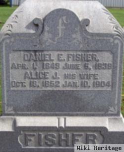 Daniel E Fisher