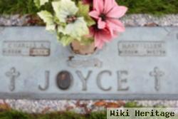 Mary Ellen Joyce