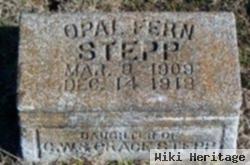 Opal Fern Stepp