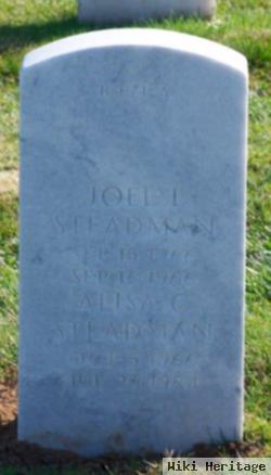 Joel L Steadman