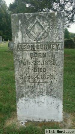 Alson Stafford Burney