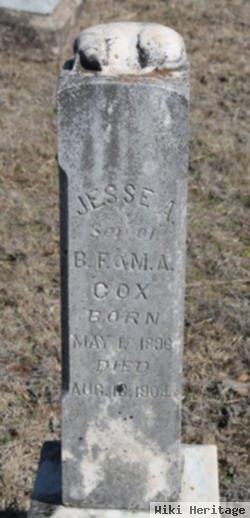 Jesse A. Cox