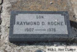 Raymond D Roche