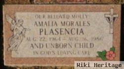 Amalia Morales Plasencia