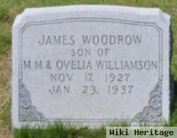 James Woodrow Williamson