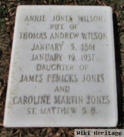 Annie Jones Wilson