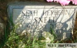 Seth Herbert Snell