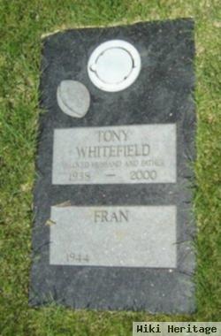 Tony Whitefield