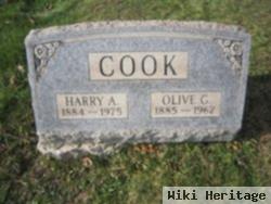 Harry Albert Cook