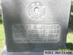 Albert S. Johnson