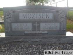 Steve S Mozisek