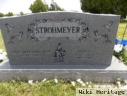 Lyle L. Strohmeyer