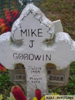 Mike J. Goodwin