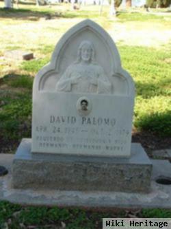 David Palomo