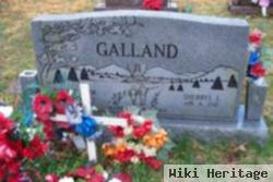 Ronald D Galland, Sr