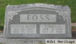 Torkel G Foss