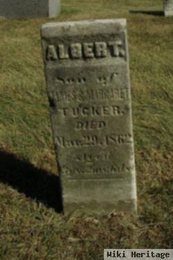 Albert Tucker