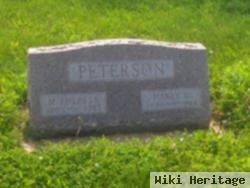 M. Theresa Peterson