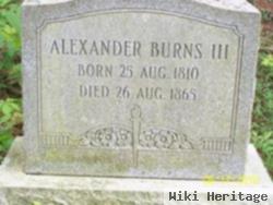 Alexander Burns