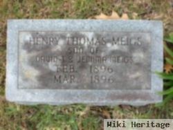 Henry Thomas Meigs