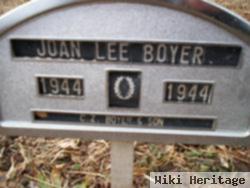 Joan Lee Boyer