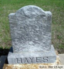 Harley J. Hayes