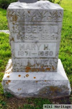 Mary H Holmes