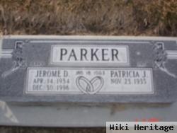 Patricia J Parker, Pat