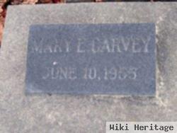 Mary Elizabeth Garvey