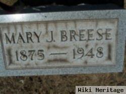 Mary J Breese