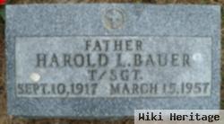 Harold Ludwig Bauer