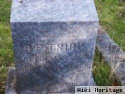 Philander F Tripp