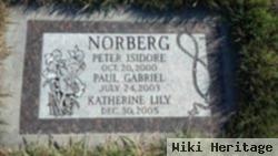 Paul Gabriel Norberg