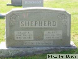 Mary Elizabeth Puckett Shepherd